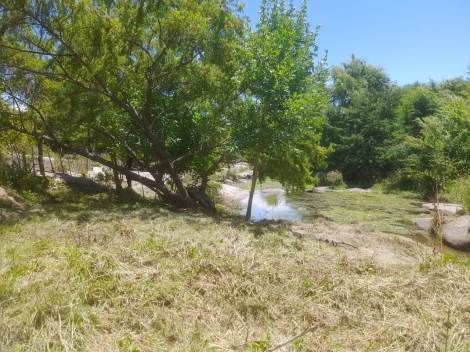 Limpieza y puesta en valor de las m�rgenes del r�o